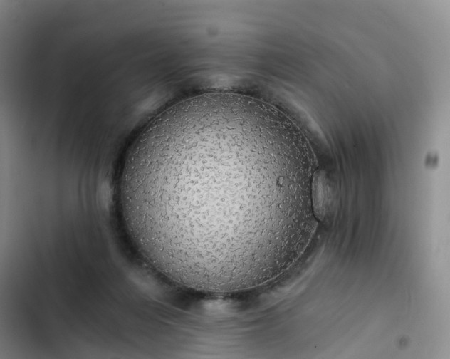 X0000102770216200808251100