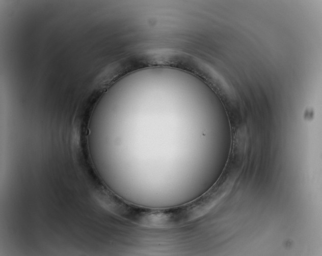 X0000102770217200808251100