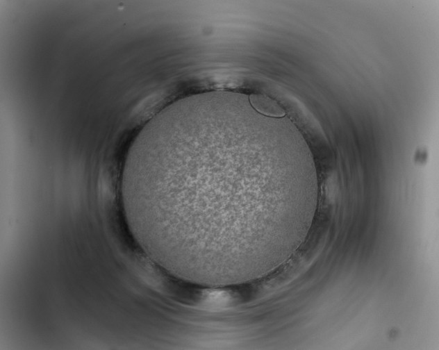 X0000102770218200808251100