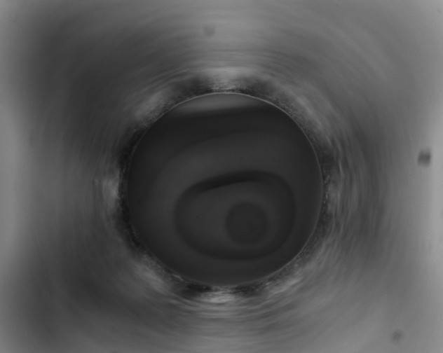 X0000102770219200808251100