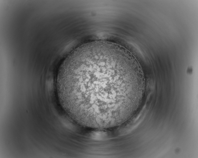 X0000102770220200808251100