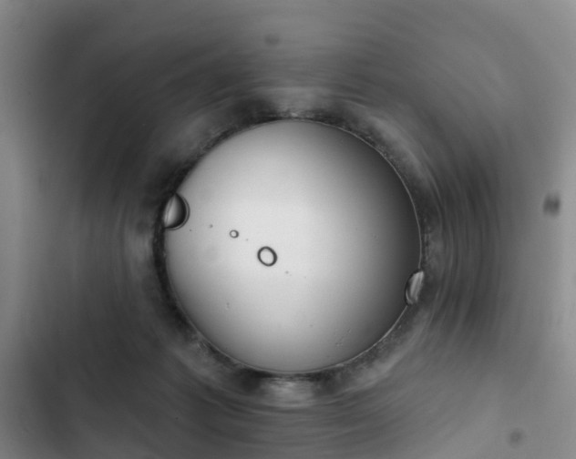 X0000102770221200808251100