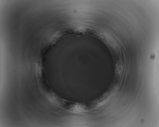 X0000102770223200808251100