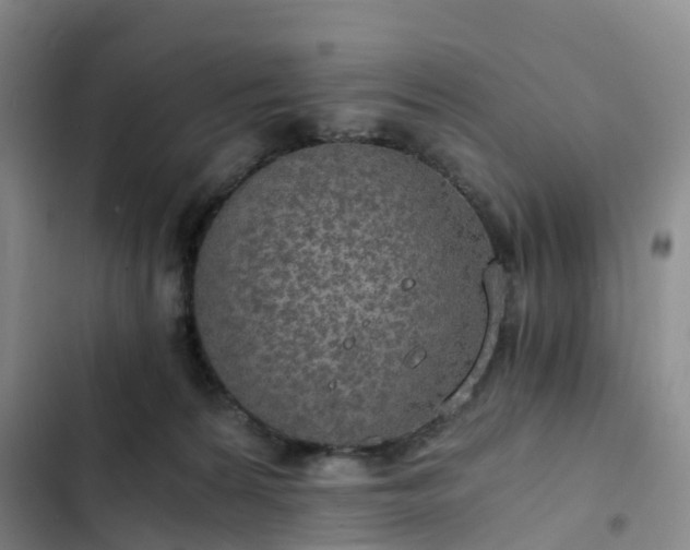 X0000102770224200808251100