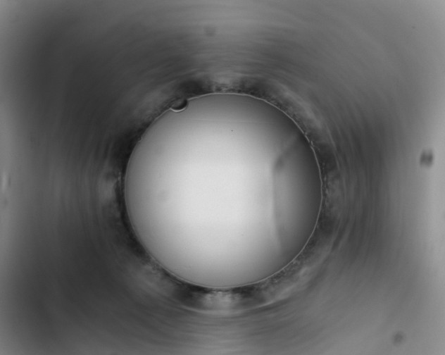 X0000102770225200808251059