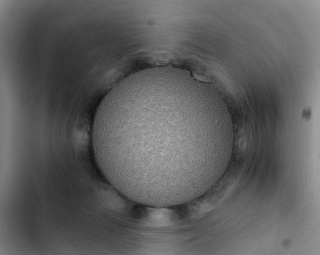 X0000102770226200808251059