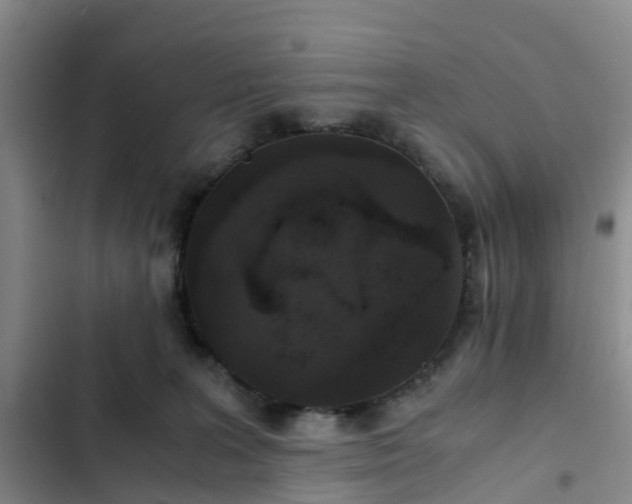 X0000102770227200808251059