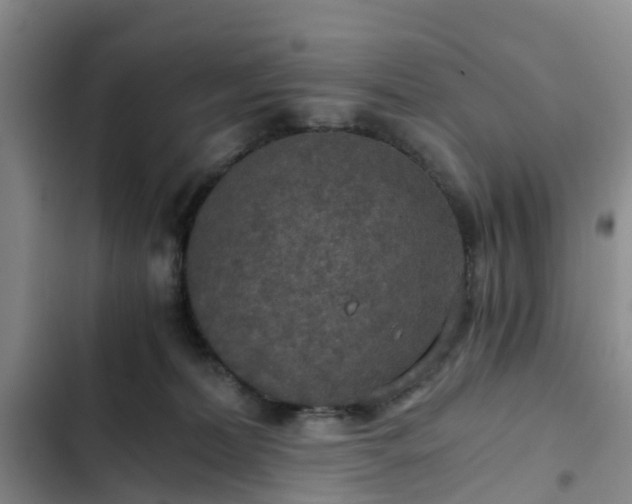 X0000102770228200808251059