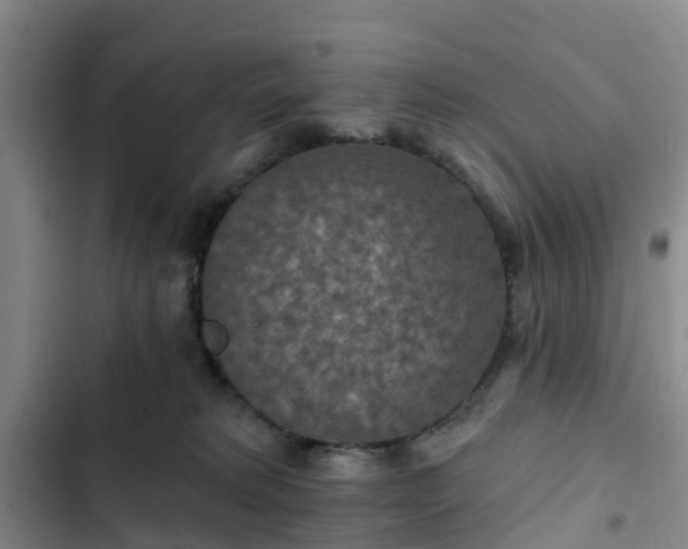 X0000102770229200808251059