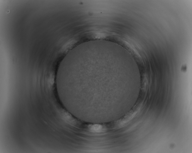 X0000102770230200808251059