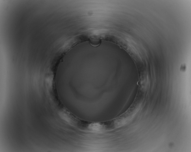 X0000102770231200808251059