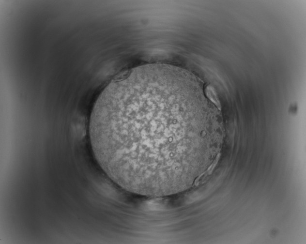 X0000102770232200808251059