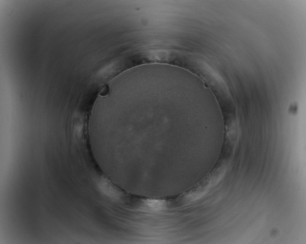 X0000102770233200808251059