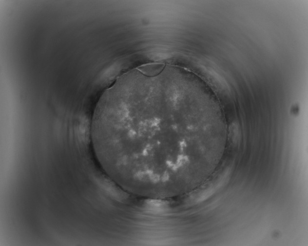 X0000102770234200808251059