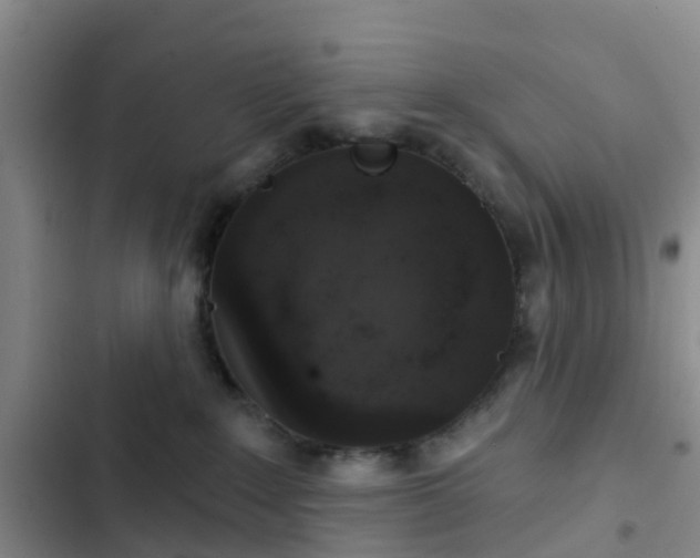 X0000102770235200808251059