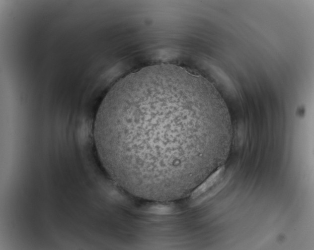 X0000102770236200808251059