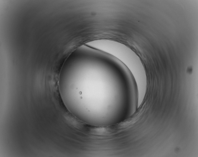 X0000102770237200808251059