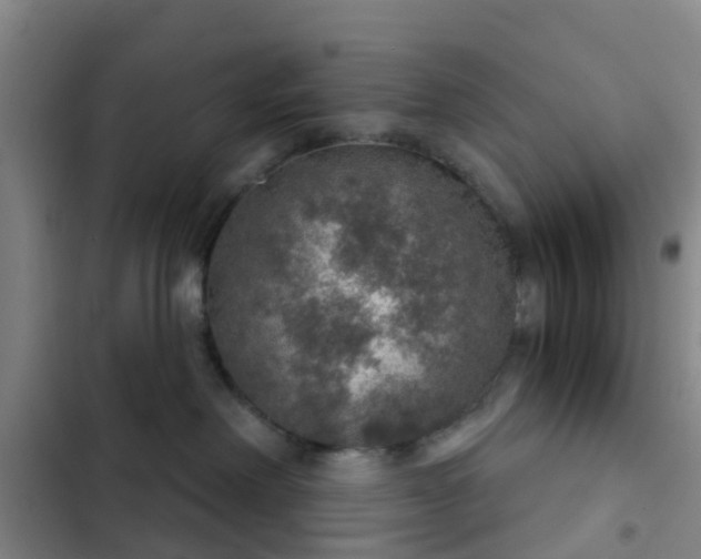 X0000102770238200808251059