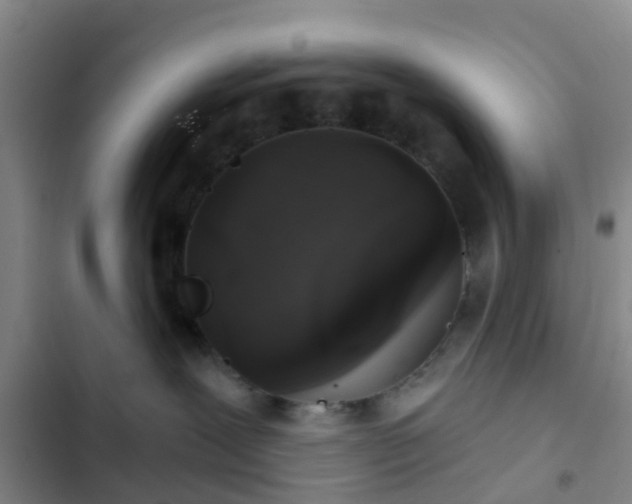 X0000102770239200808251059