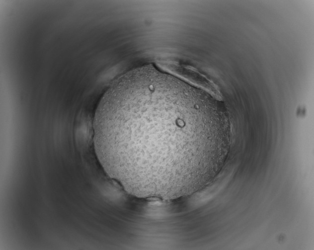 X0000102770240200808251059