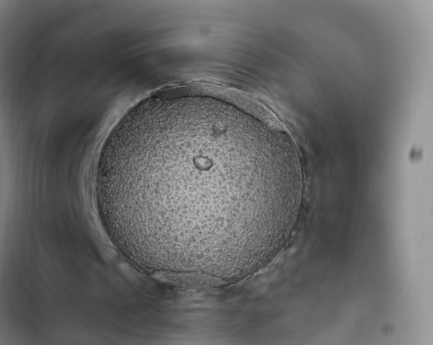 X0000102770241200808251059