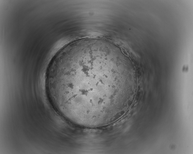 X0000102770242200808251059