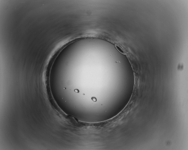 X0000102770244200808251059