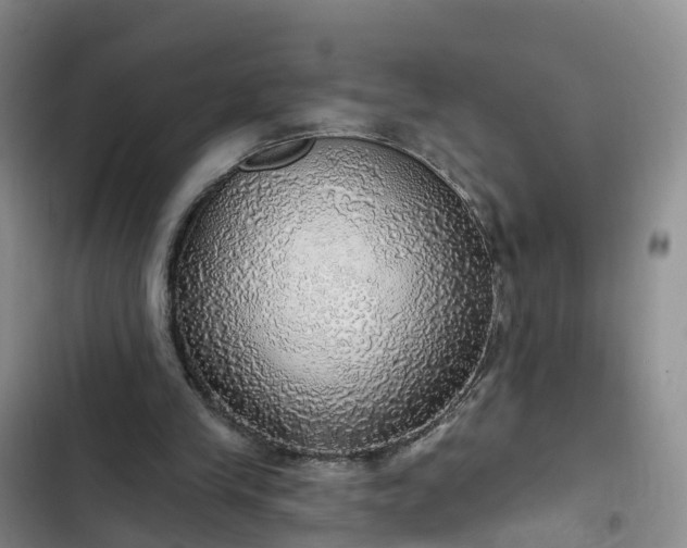 X0000102770245200808251059