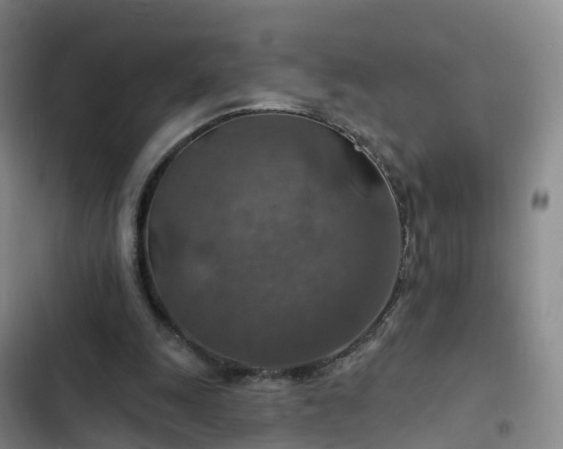 X0000102770247200808251059