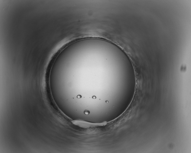 X0000102770248200808251059