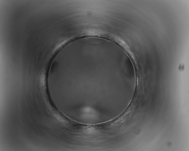 X0000102770249200808251059