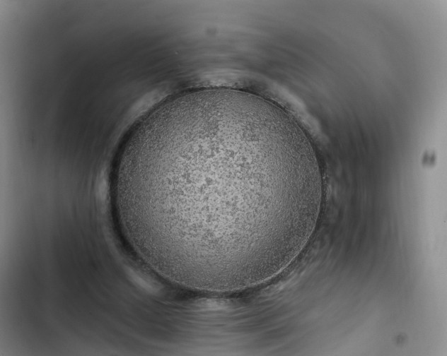 X0000102770250200808251059