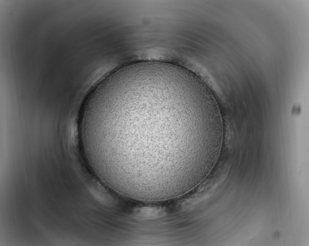 X0000102770251200808251059