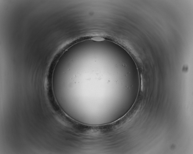 X0000102770252200808251059