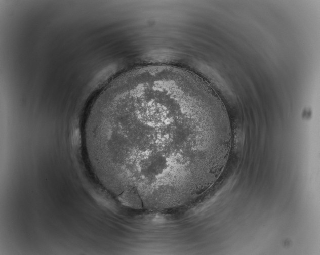 X0000102770254200808251059