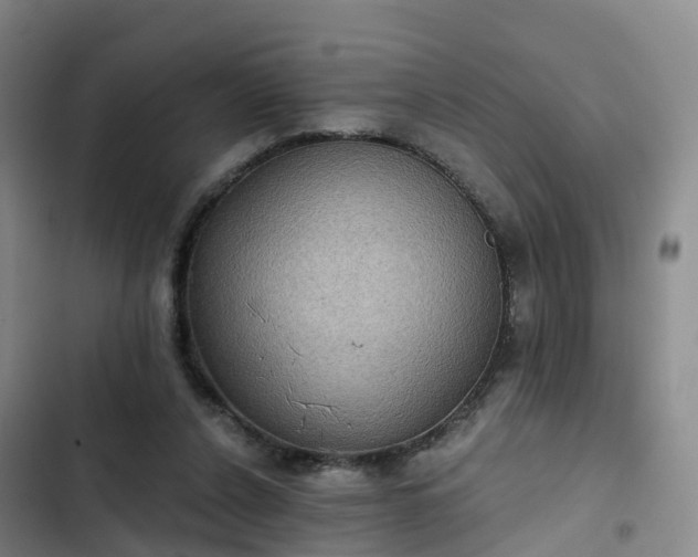 X0000102770256200808251059