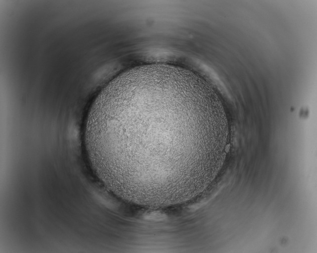 X0000102770258200808251059