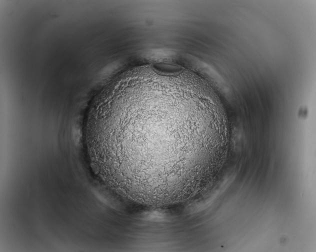 X0000102770259200808251059