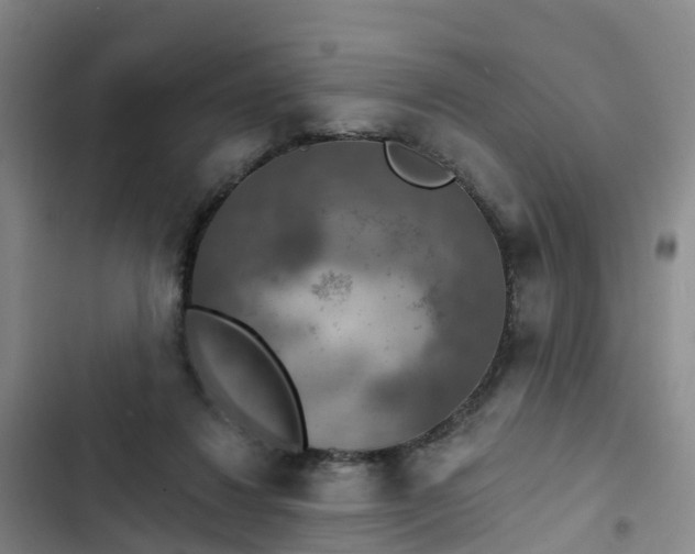 X0000102770260200808251059