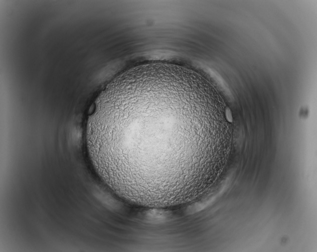 X0000102770261200808251059