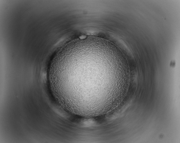 X0000102770262200808251059