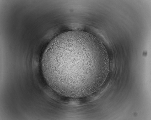 X0000102770263200808251059