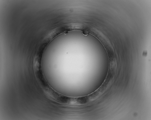 X0000102770264200808251059