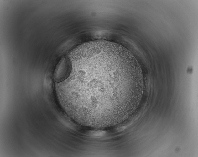 X0000102770266200808251059