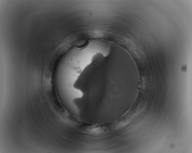 X0000102770267200808251059