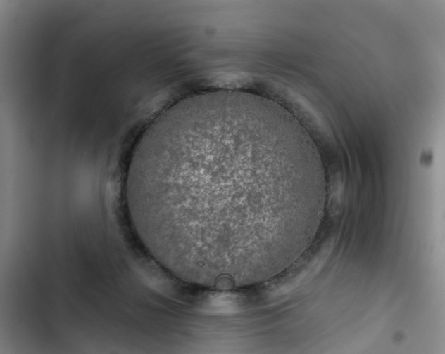 X0000102770268200808251059