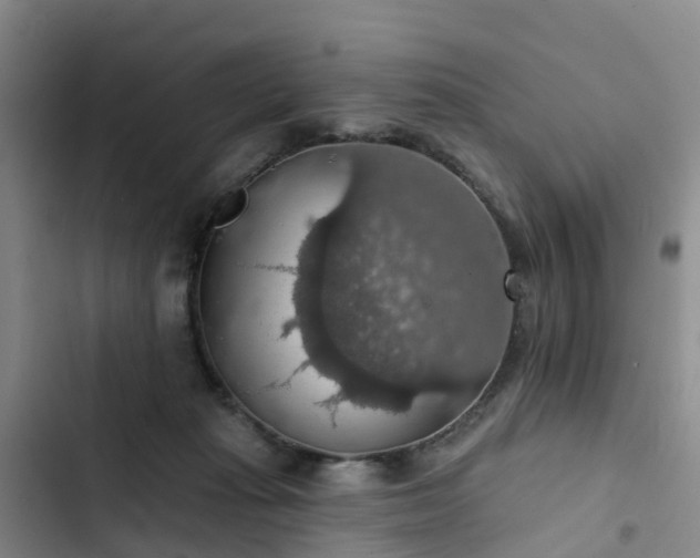 X0000102770269200808251059