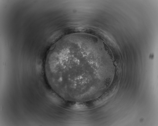 X0000102770270200808251059