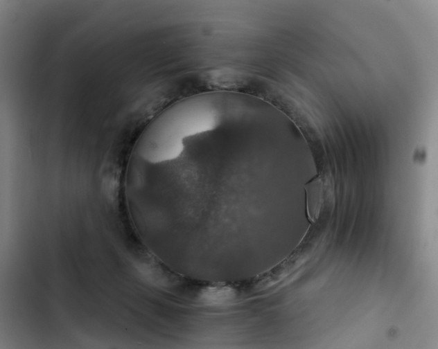 X0000102770271200808251059