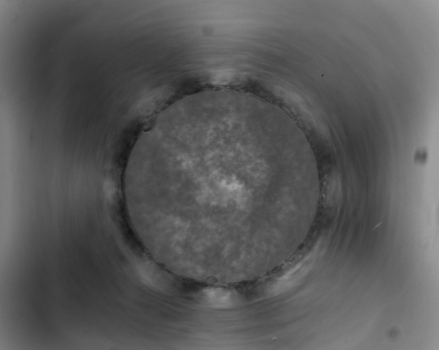 X0000102770272200808251059